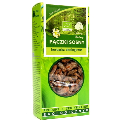 Pączki Sosny